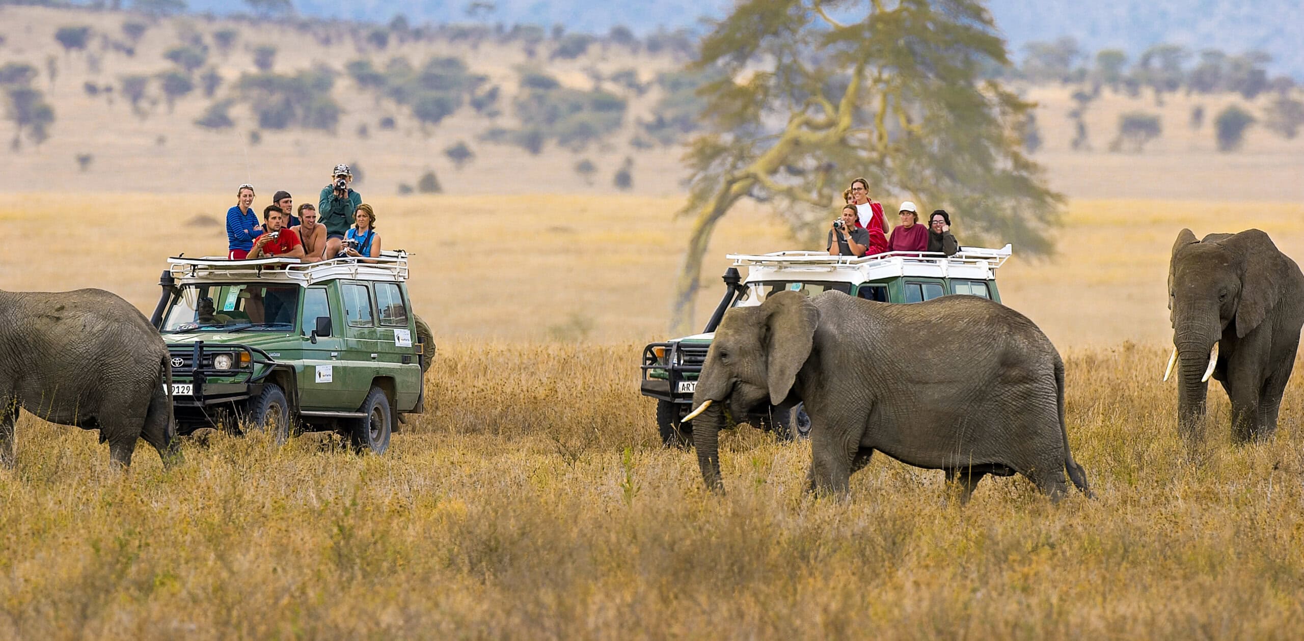 Ngorongoro Crater